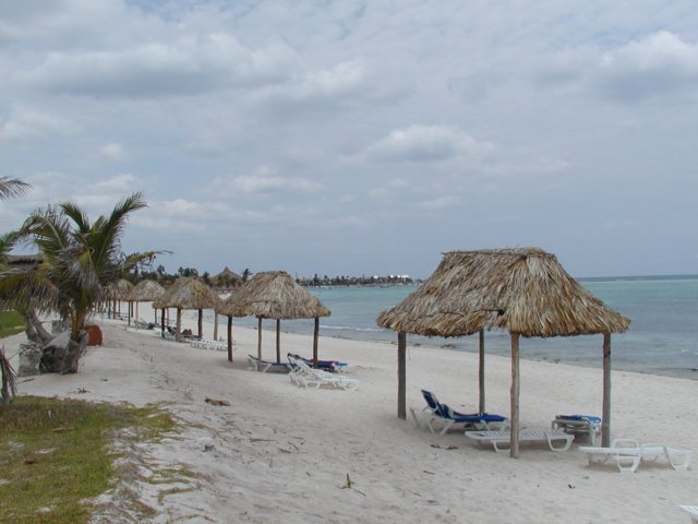 p5160111.jpg