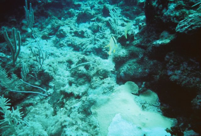 r1054.jpg
