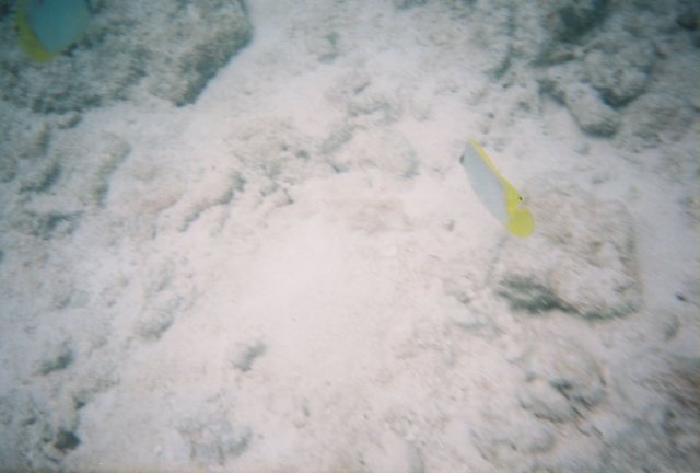 r11817.jpg