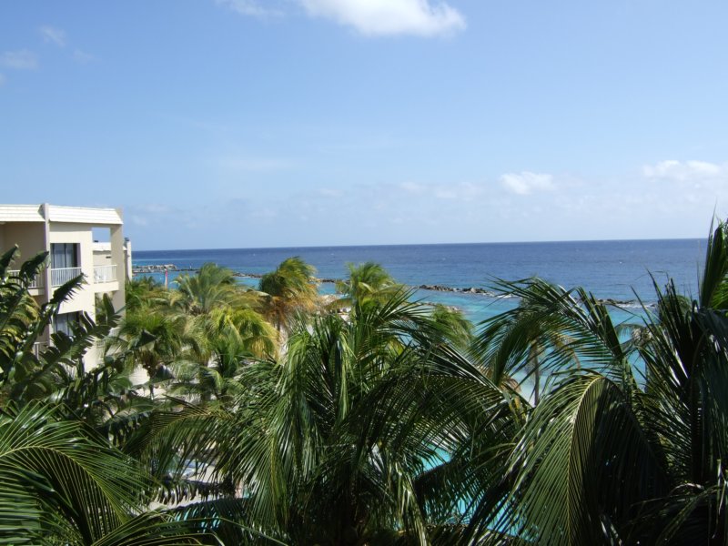dscf7242.jpg