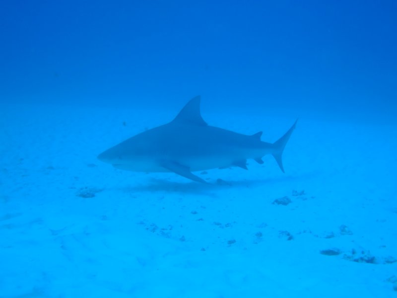 dscf8574.jpg