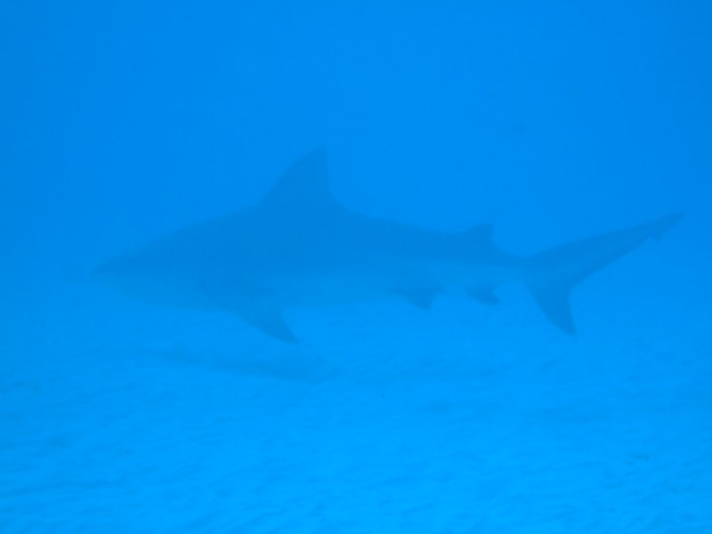 dscf8608.jpg