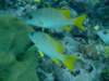 dscf8254_small.jpg
