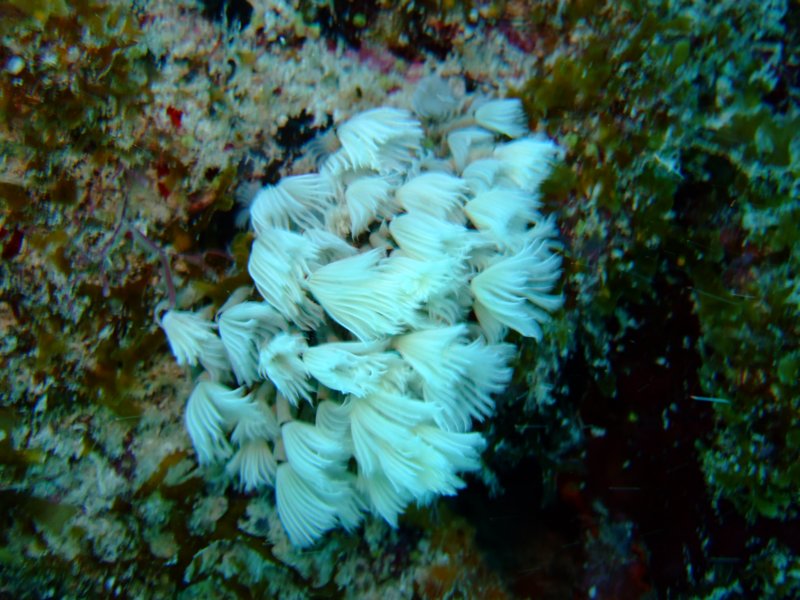 dscf8257.jpg