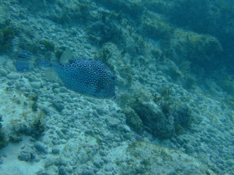 dscf8258.jpg