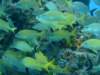 dscf8259_small.jpg