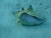 dscf8261_small.jpg