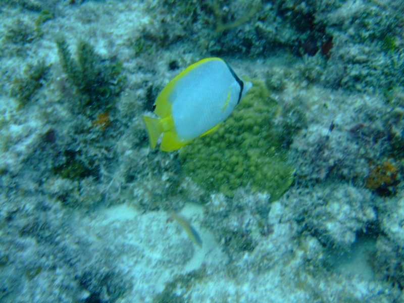dscf8263.jpg