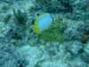 dscf8263_small.jpg