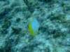 dscf8264_small.jpg