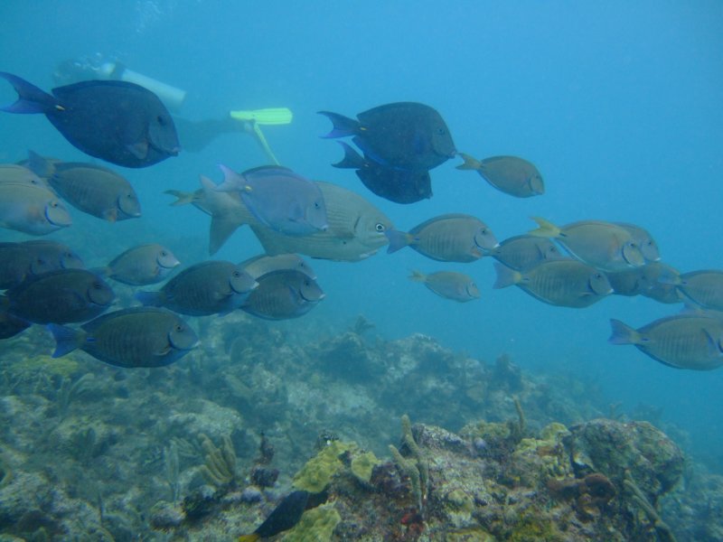 dscf8265.jpg
