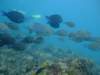 dscf8265_small.jpg