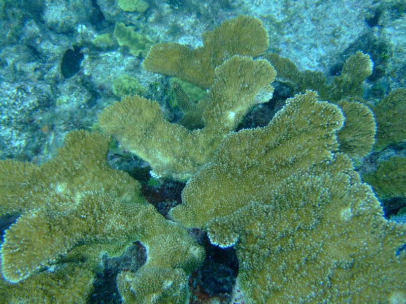 dscf8269.jpg