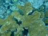 dscf8269_small.jpg