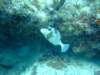 dscf8271_small.jpg