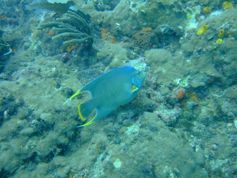 dscf8274.jpg