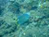 dscf8274_small.jpg