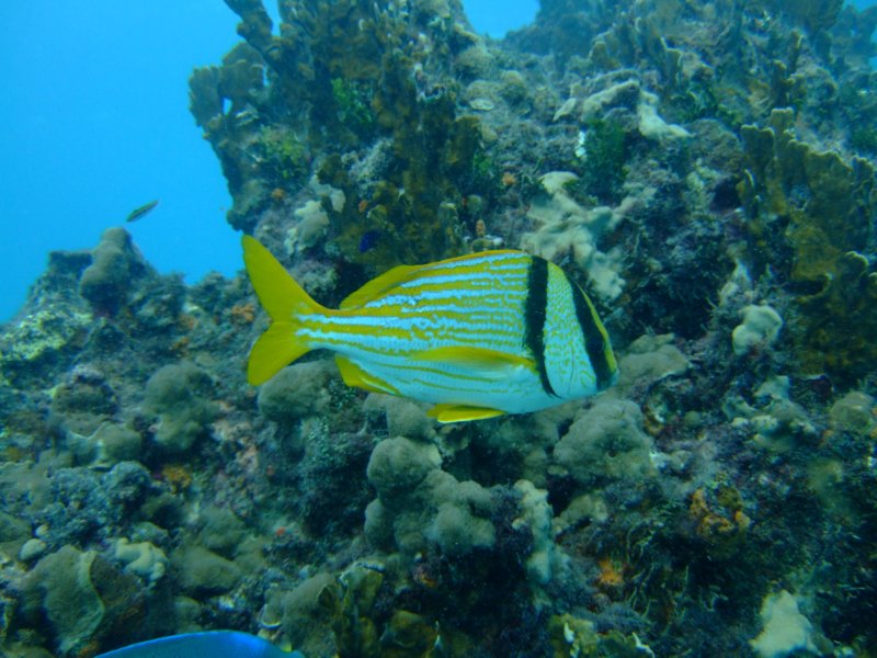 dscf8275.jpg