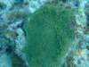 dscf8276_small.jpg