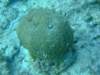 dscf8278_small.jpg