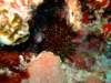 dscf8279_small.jpg