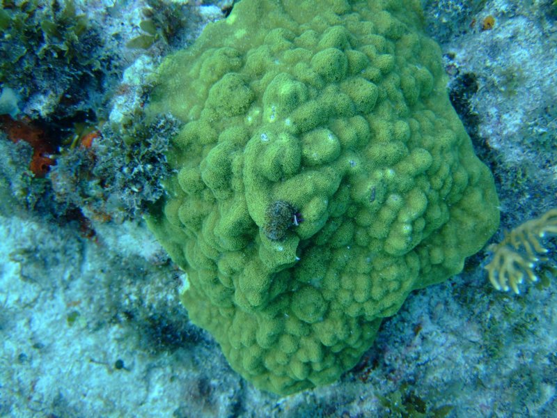 dscf8280.jpg