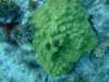 dscf8280_small.jpg
