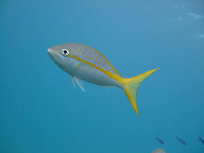 dscf8282.jpg