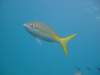 dscf8282_small.jpg