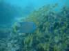 dscf8283_small.jpg
