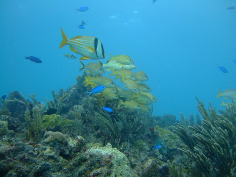 dscf8286.jpg