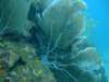 dscf8287_small.jpg
