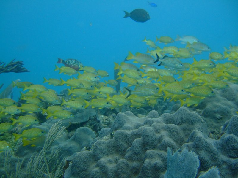 dscf8288.jpg