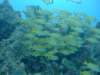 dscf8295_small.jpg