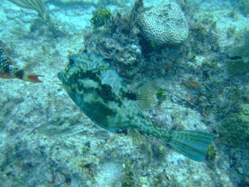dscf8298.jpg