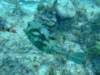 dscf8298_small.jpg