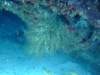 dscf8356_small.jpg