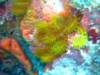 dscf8374_small.jpg