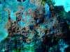 dscf8376_small.jpg