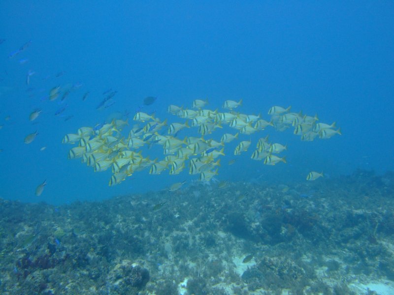 dscf8379.jpg