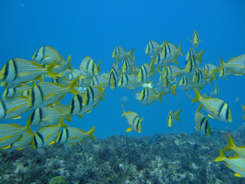 dscf8381.jpg