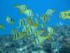 dscf8382_small.jpg