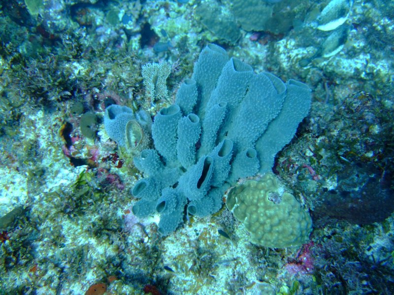 dscf8383.jpg