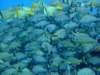 dscf8386_small.jpg