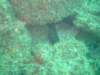 dscf0338_small.jpg