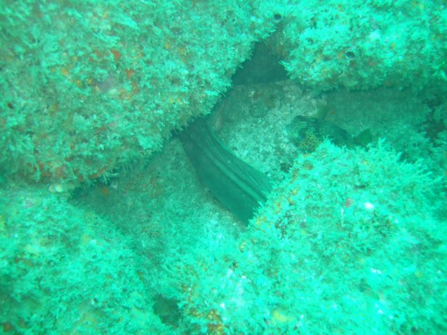 dscf0341.jpg