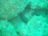 dscf0341_small.jpg