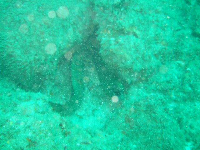 dscf0343.jpg
