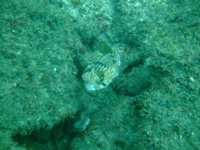 dscf0346.jpg