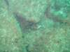 dscf0347_small.jpg